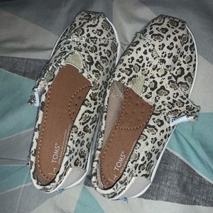 Cheetah toms